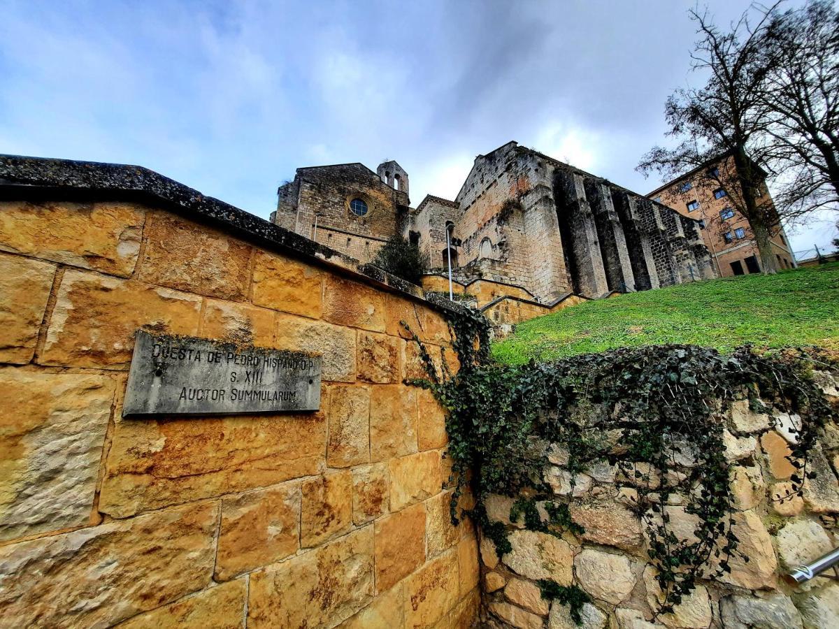 Apartamento Medieval En El Camino De Santiago Estella Exterior photo
